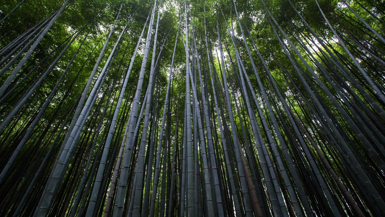 博业体育平台介绍 - 博业体育app登录 下载 入口官网